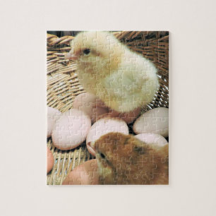 Puzzle Dos pollos del bebé en una cesta de huevos