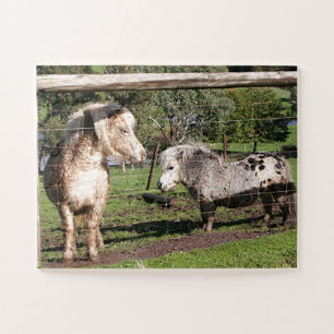 Puzzle Dos ponis en miniatura en el paddock