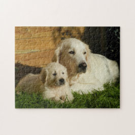 Puzzle Dos recuperadores de oro - mamá y pipa - amor