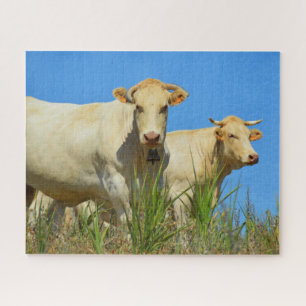 Puzzle Dos vacas en un animal francés