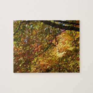 Puzzle Doscubierta de Hojas de Otoño I Naturaleza de Otoñ
