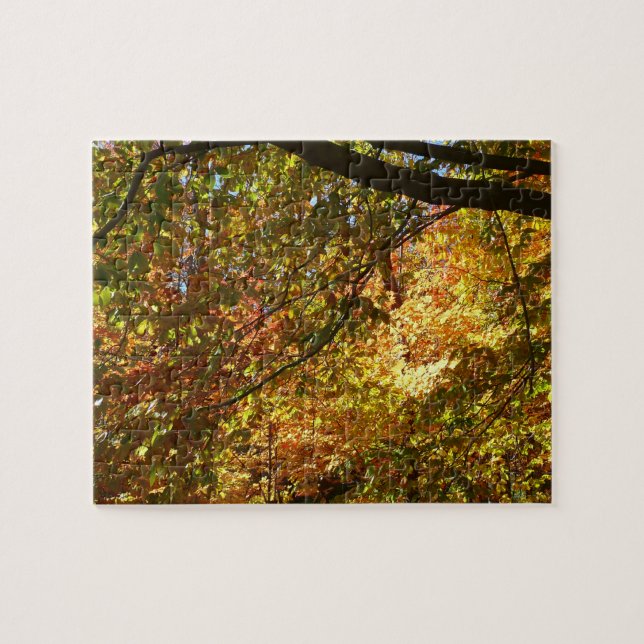 Puzzle Doscubierta de Hojas de Otoño I Naturaleza de Otoñ (Horizontal)