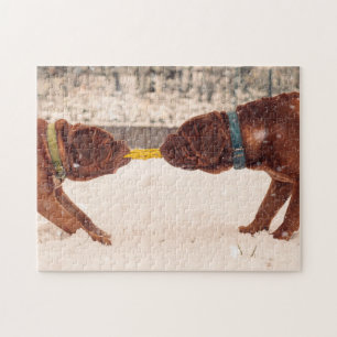 Puzzle Douge De Bordeaux Tug of War