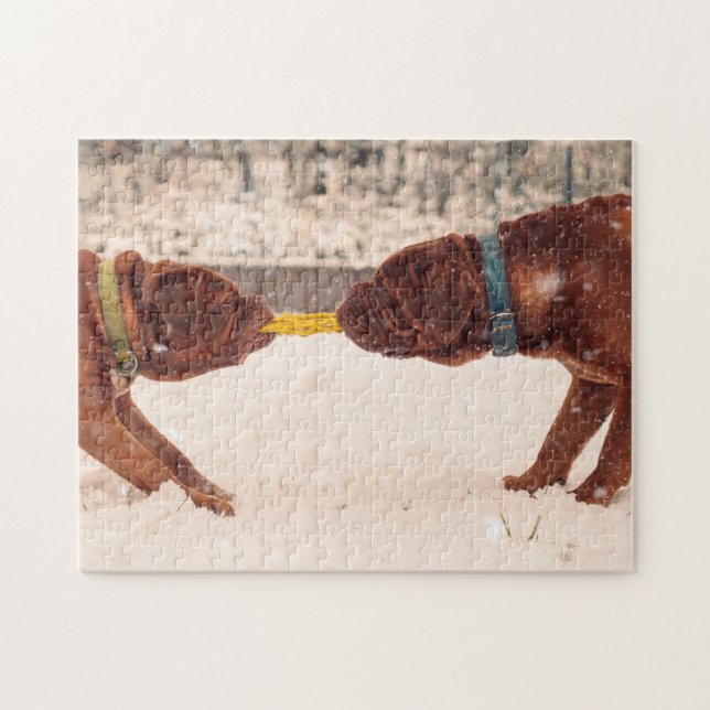 Puzzle Douge De Bordeaux Tug of War (Horizontal)