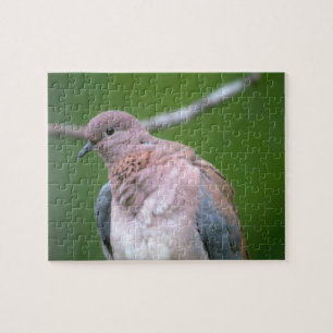 Puzzle Dove Bird