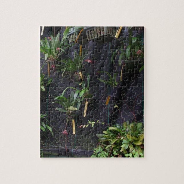 Puzzle Dracula Orchid (Vertical)