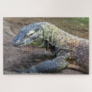 Puzzle dragón komodo