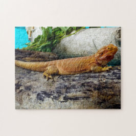 Puzzle Dragon Lizard con barba para adultos