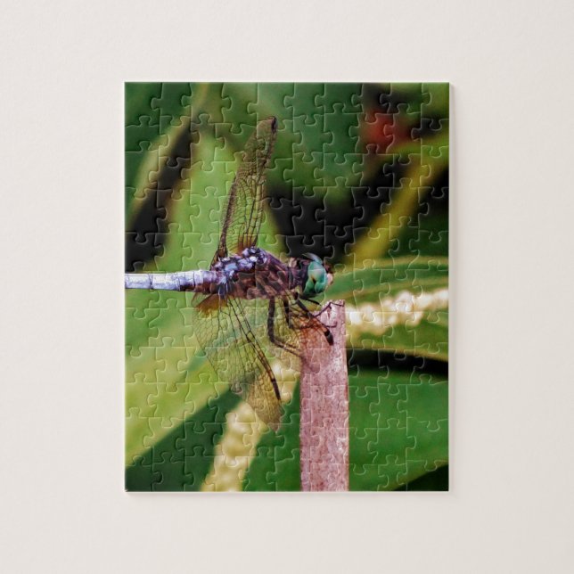 Puzzle Dragonfly con flores blancas (Vertical)
