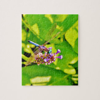Puzzle Dragonfly de color arcoiris sobre una flor rosa mo