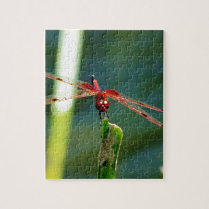 Puzzle Dragonfly Frontal Rojo y Negro