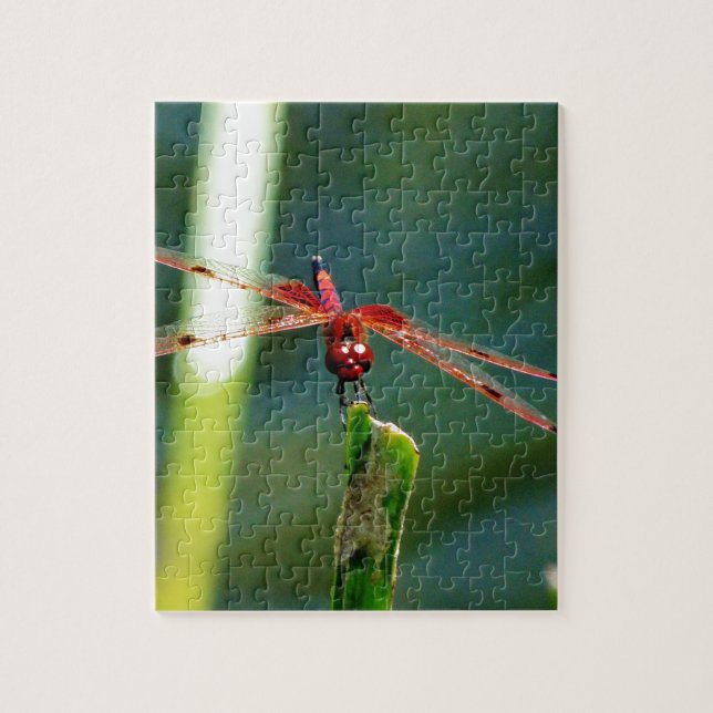 Puzzle Dragonfly Frontal Rojo y Negro (Vertical)