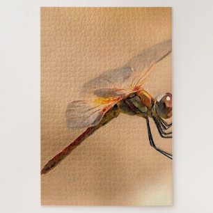 Puzzle Dragonfly pintado aislado contra Ecru