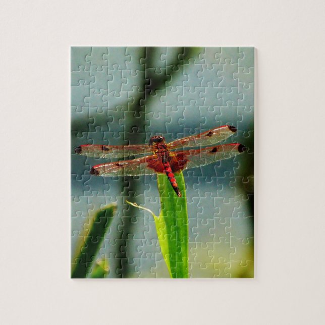 Puzzle Dragonfly rojo y negro visto (Vertical)