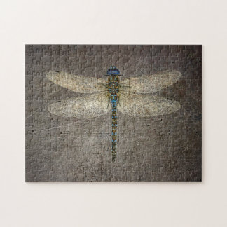 Puzzle Dragonfly sobre el fondo de la piedra gris