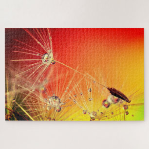 Puzzle Drops de Dandelion - Hermosas