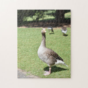 Puzzle Duck Bird Kew Gardens London Photography