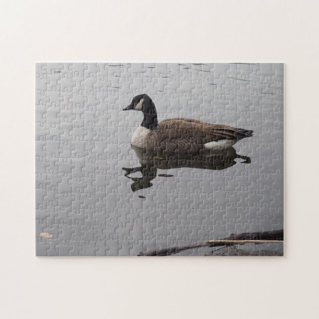 Puzzle Duck Reflection Central Park Lake New York City (Horizontal)