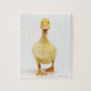 Puzzle Duckling