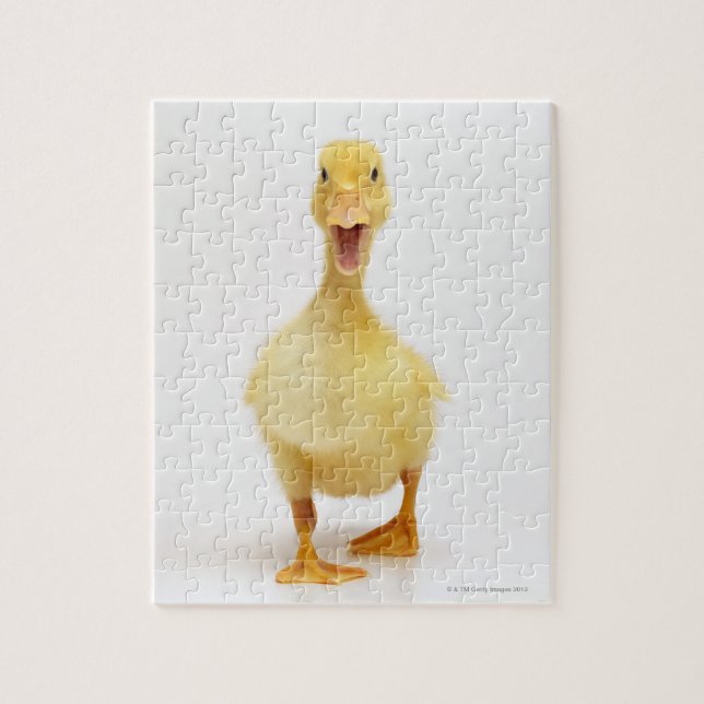 Puzzle Duckling (Vertical)
