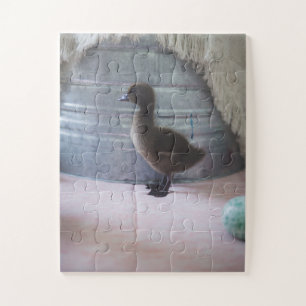Puzzle Duckling, Dark Brown Baby Duck