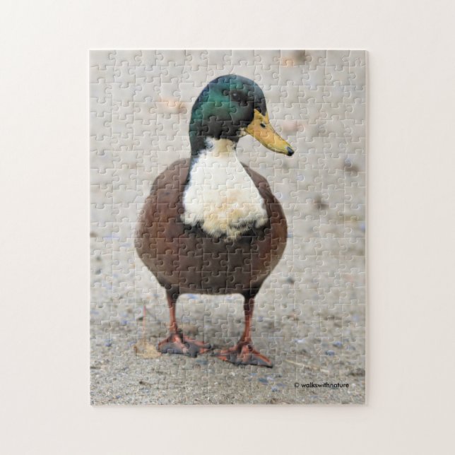 Puzzle Duclair mallard mestizo mestizo (Vertical)