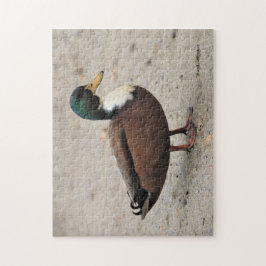 Puzzle Duclair mallorquín domestico