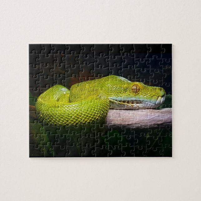Puzzle Dueño de serpiente Python Green Tree (Horizontal)