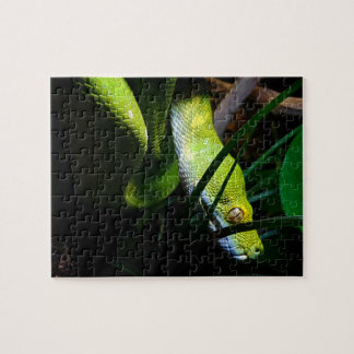 Puzzle Dueño de serpiente Python Green Tree