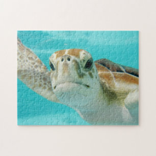 Puzzle Dulce cara de tortuga marina en agua transparente