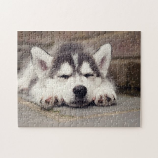 Puzzle Dulce Husky Cachorro Siberiano Dormido (Horizontal)