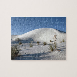 Puzzle Dunas Transversales y Yucca de Jabón