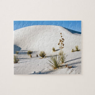 Puzzle Dunas Transversales y Yucca elata