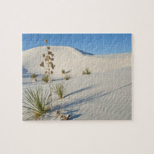 Puzzle Dunas transversales, Yucca, sombras