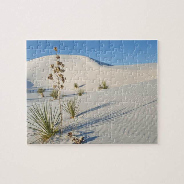 Puzzle Dunas transversales, Yucca, sombras (Horizontal)
