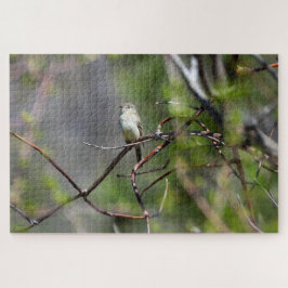 Puzzle Dusky Flycatcher