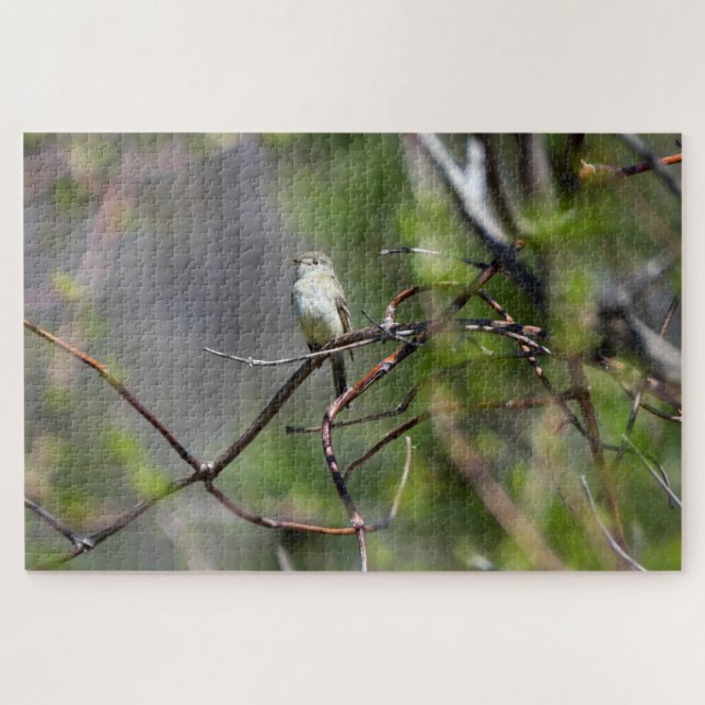 Puzzle Dusky Flycatcher (Horizontal)