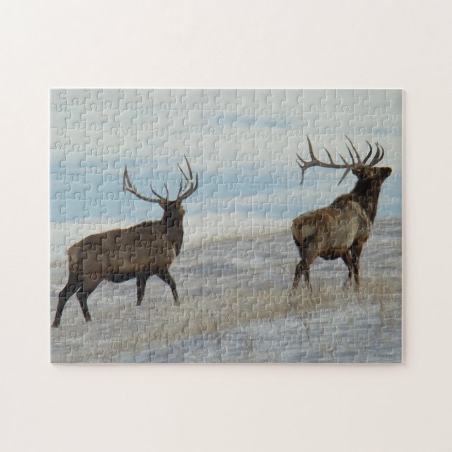 Puzzle E57 Alce macho Lucky 13 Toro (Horizontal)