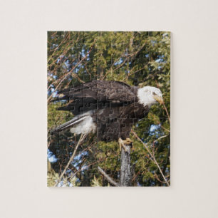 Puzzle Eagle 7