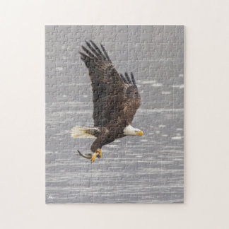 Puzzle Eagle calvo americano