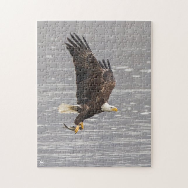 Puzzle Eagle calvo americano (Vertical)