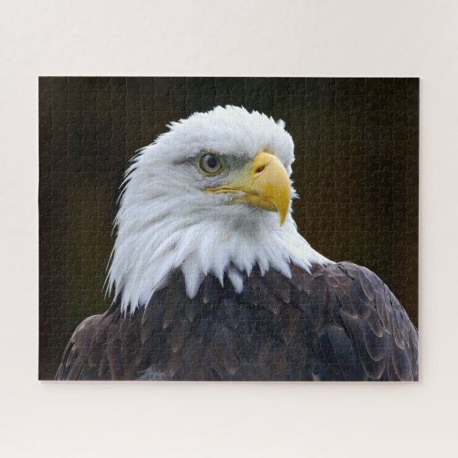 Puzzle Eagle calvo americano (Horizontal)
