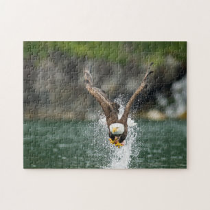 Puzzle Eagle calvo la captura grande