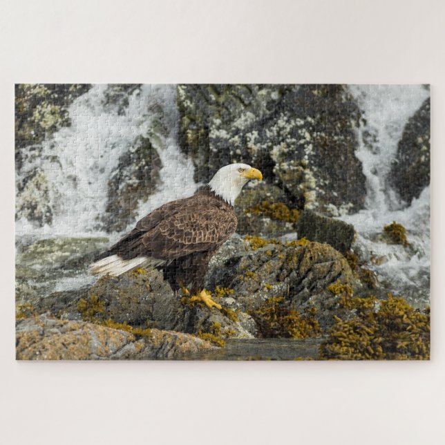 Puzzle Eagle calvo orgulloso (Horizontal)