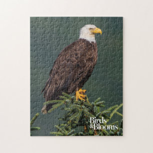 Puzzle Eagle calvo real