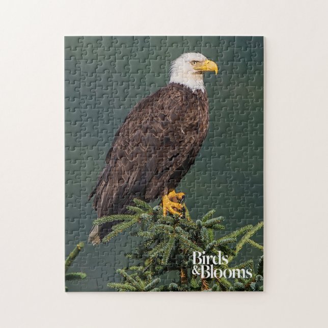 Puzzle Eagle calvo real (Vertical)