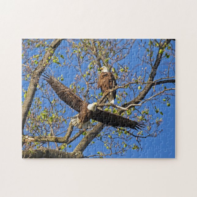 Puzzle Eagle Pair (Horizontal)