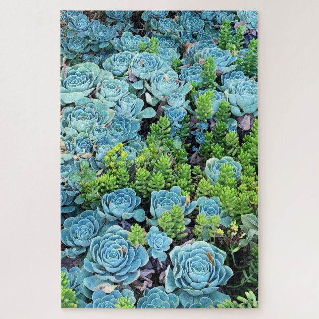 Puzzle Echeveria Azul Imbricata y Sedum Verde Suculento (Vertical)