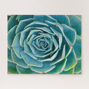 Puzzle Echeveria Roseta, Jardín Secreto de Marrakech