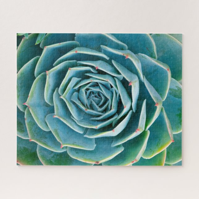 Puzzle Echeveria Roseta, Jardín Secreto de Marrakech (Horizontal)